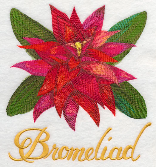 Bromeliad in Watercolor - Image 4
