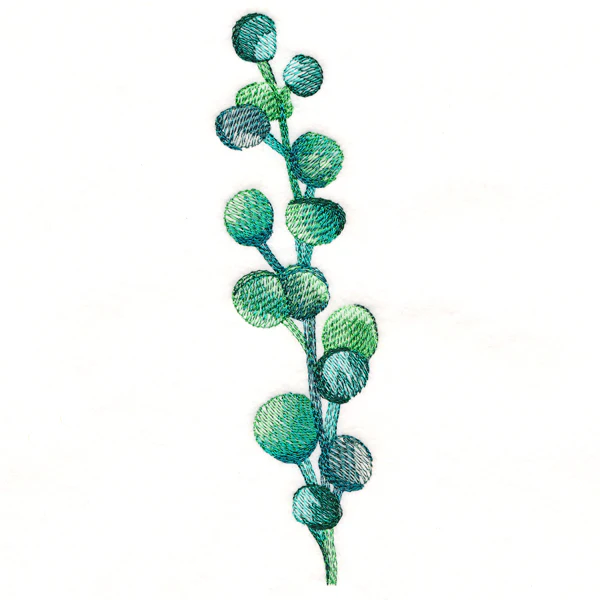 Bubbly Botanical in Watercolor - Image 2