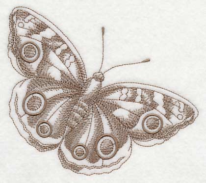 Buckeye Butterfly (Toile) - Image 3