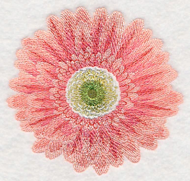 Bursting Bloom Daisy - Image 4