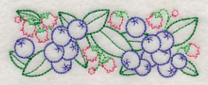 Bursting Blueberry Border (Vintage) - Image 5