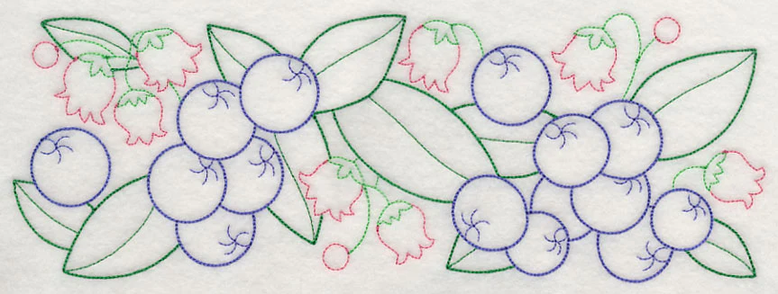 Bursting Blueberry Border (Vintage) - Image 6