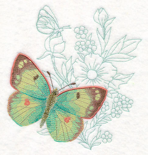 Butterfly Beauty - Colias Hyale - Image 2