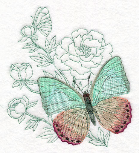 Butterfly Beauty - Green Charaxes - Image 2