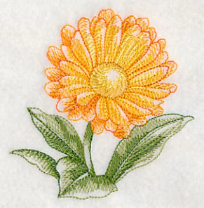 Calendula Beauty - Image 5