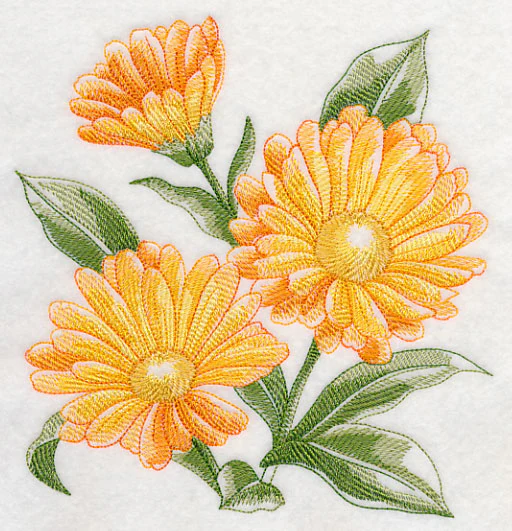 Calendula Sketch - Image 2