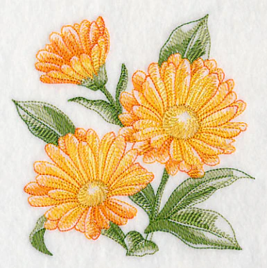 Calendula Sketch - Image 4