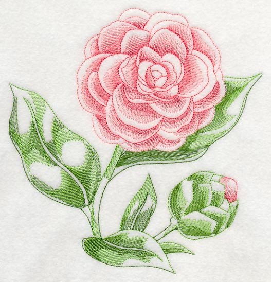 Camellia Beauty - Image 2