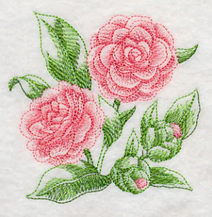 Camellia Sketch - Image 5