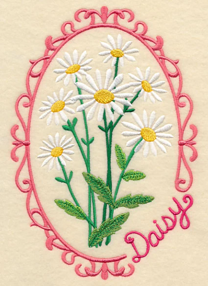 Cameo Daisy - Image 3