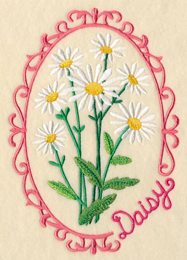 Cameo Daisy - Image 4