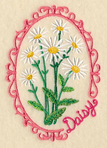 Cameo Daisy - Image 5