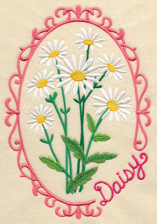 Cameo Daisy - Image 6
