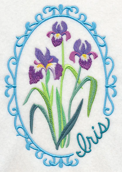 Cameo Iris - Image 3