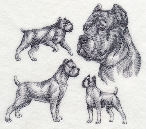 Cane Corso Sketch (Docked Tail and Cropped Ears) - Image 2