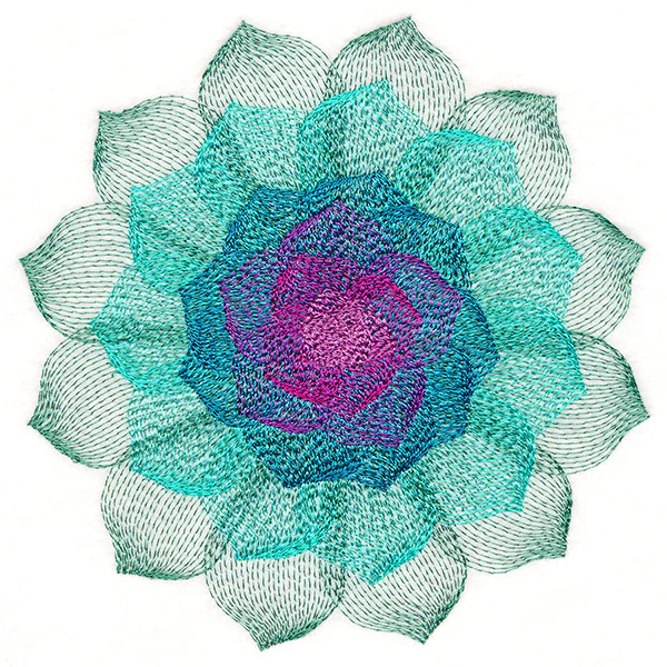 Captivating Succulent - Image 3