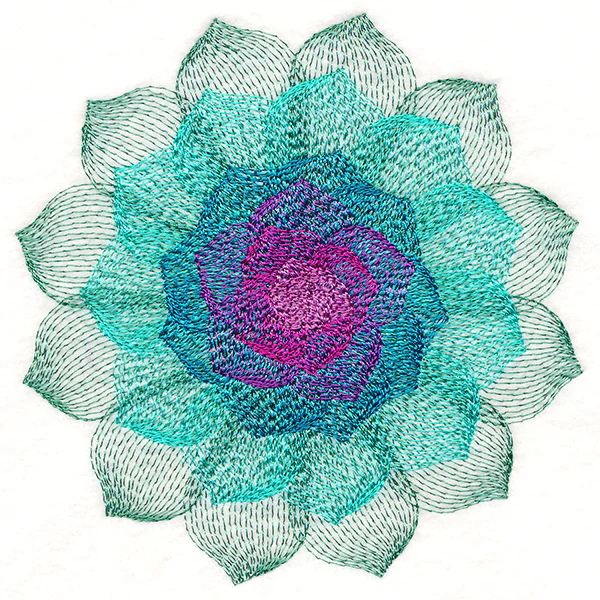 Captivating Succulent - Image 4