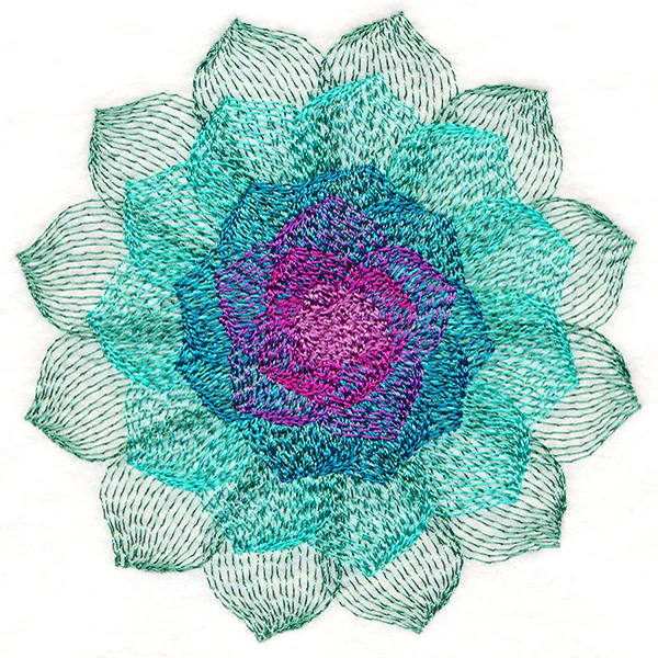 Captivating Succulent - Image 5
