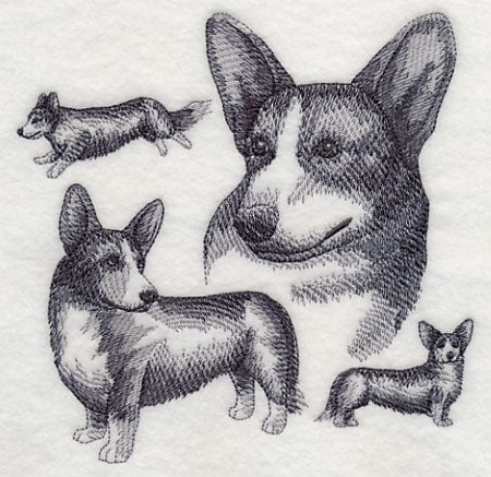Cardigan Welsh Corgi Sketch - Image 3