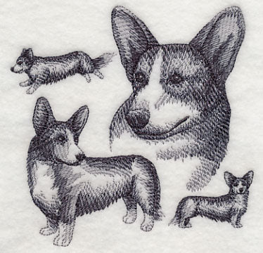 Cardigan Welsh Corgi Sketch - Image 4