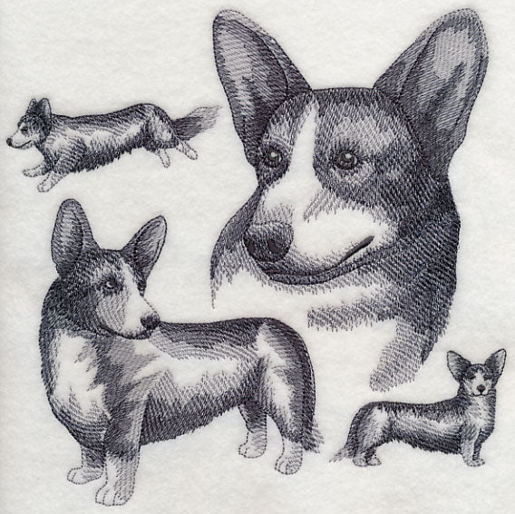 Cardigan Welsh Corgi Sketch - Image 5