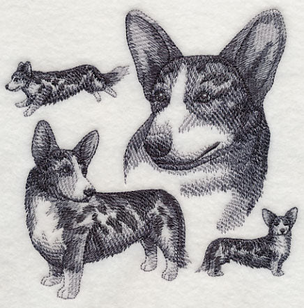 Cardigan Welsh Corgi Sketch - Merle - Image 3