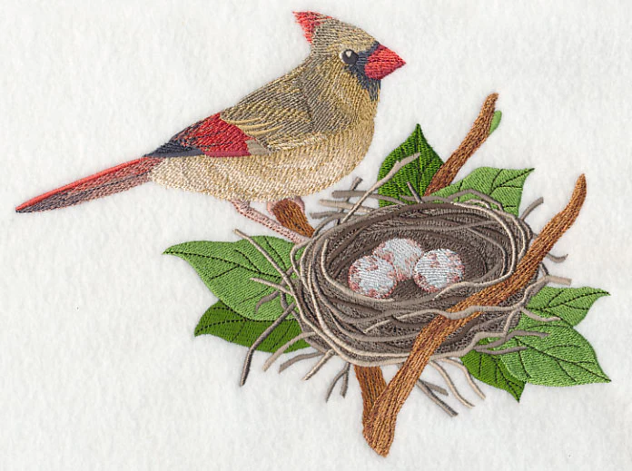 Cardinal and Nest - Image 4