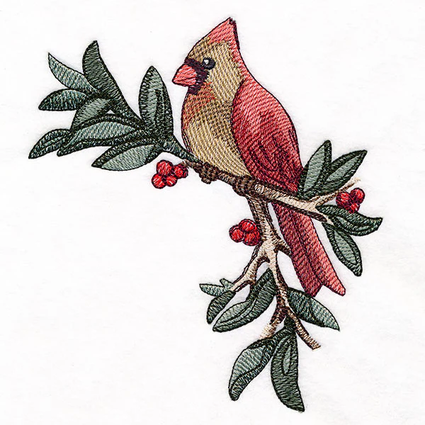 Cardinal at Christmas - Female - Image 3