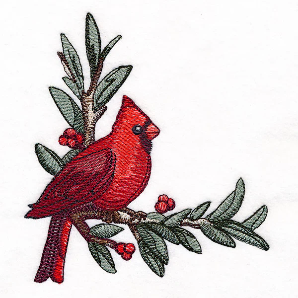 Cardinal at Christmas - Male - Image 5