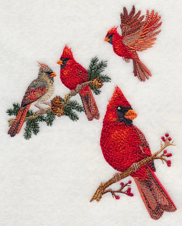 Cardinal Collage - Image 4