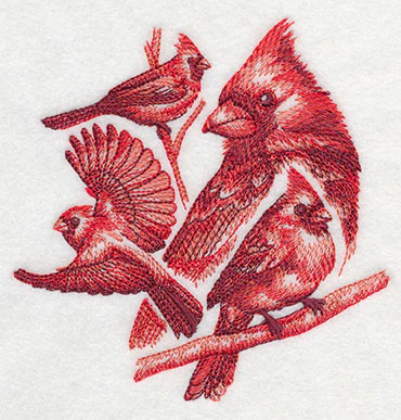 Cardinal Sketch - Image 3