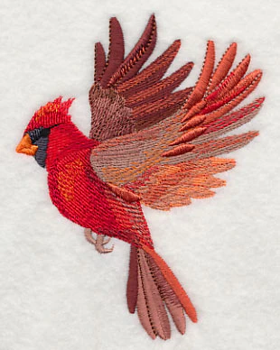 Cardinal Wings Aflutter - Image 3