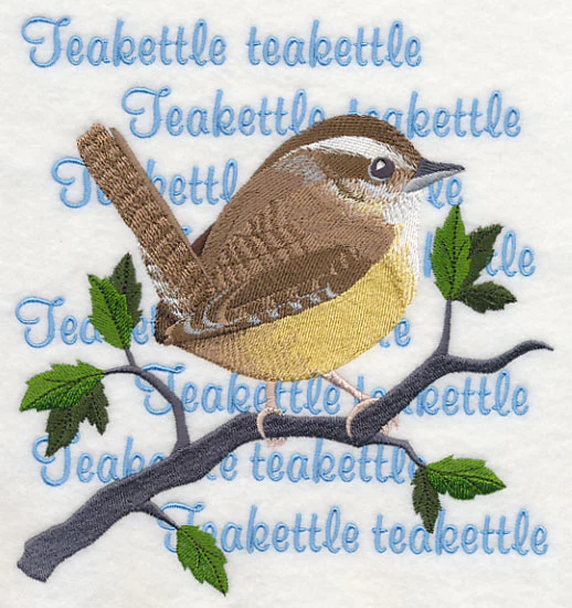 Carolina Wren Song - Image 2