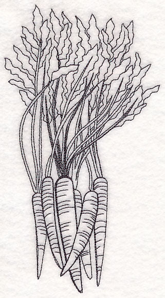 Carrot Etching - Image 2
