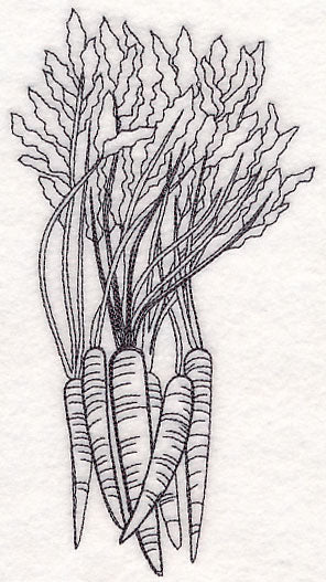 Carrot Etching - Image 3