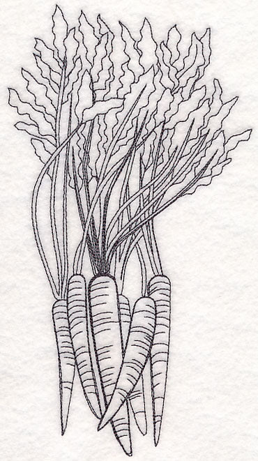 Carrot Etching - Image 6