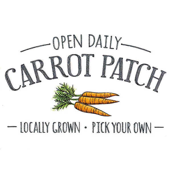 Carrot Patch - Image 5