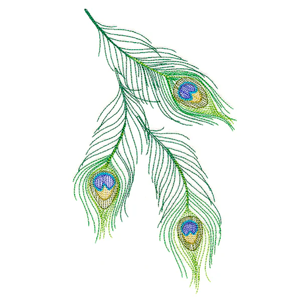 Cascading Peacock Feathers - Image 3