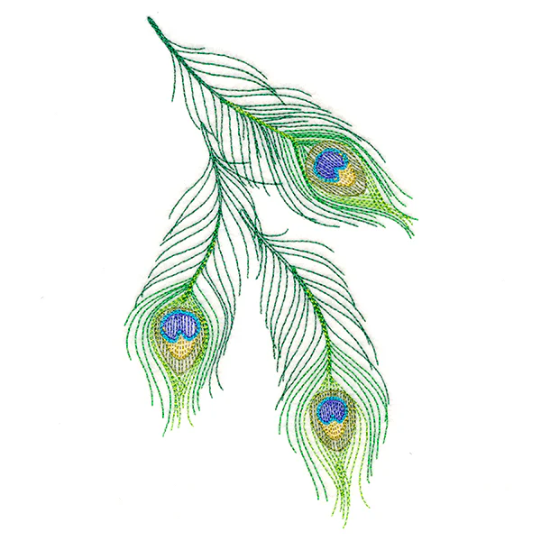 Cascading Peacock Feathers - Image 4