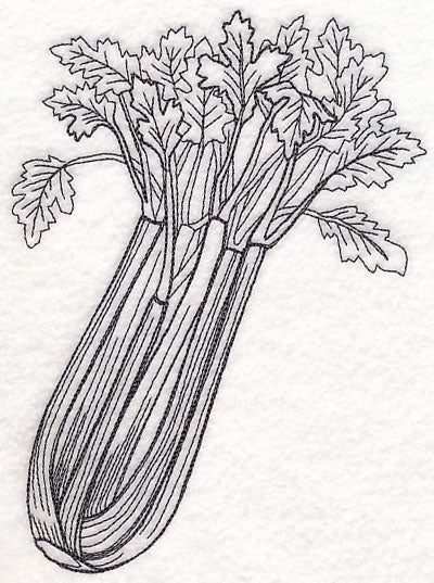 Celery Etching - Image 2