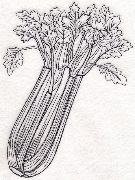Celery Etching - Image 6