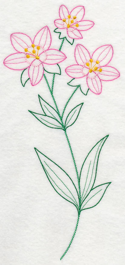 Centaurium (Vintage)