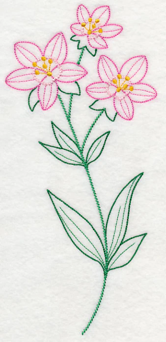 Centaurium (Vintage) - Image 2