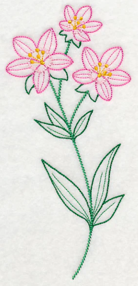 Centaurium (Vintage) - Image 3