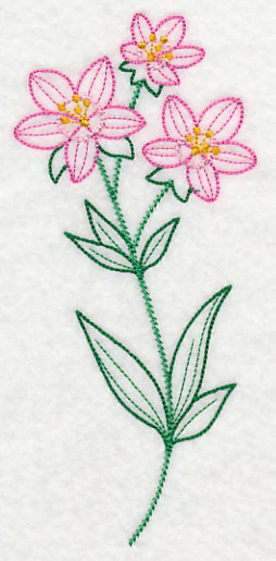 Centaurium (Vintage) - Image 4