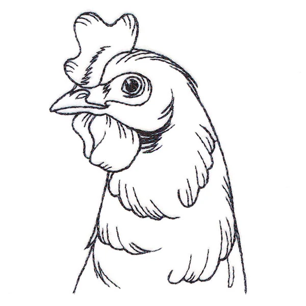 Charming Chicken Pocket Peeker - Image 3