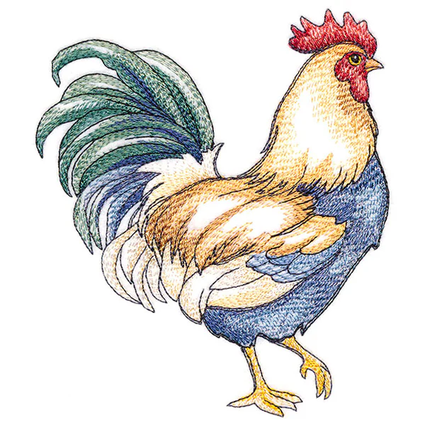 Charming Country Chicken - Image 5