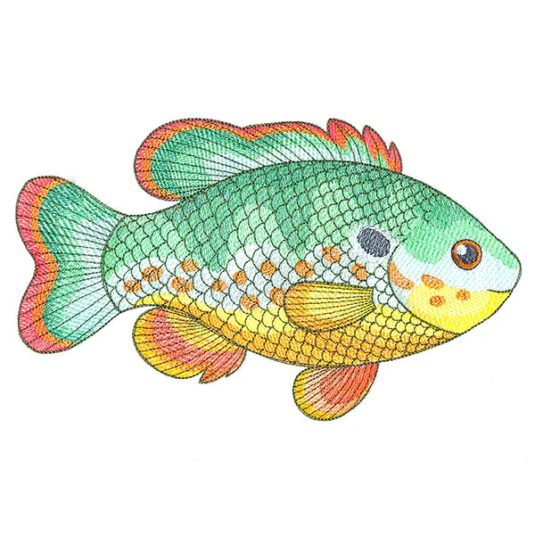 Charming Northwoods Fish - Image 3