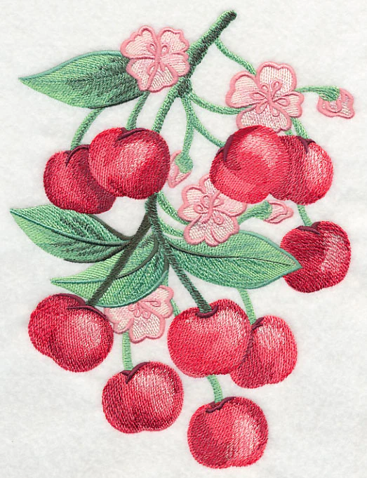 Cherry Blossoms in Watercolor