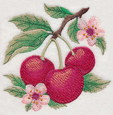 Cherry Fruit Accent - Image 3